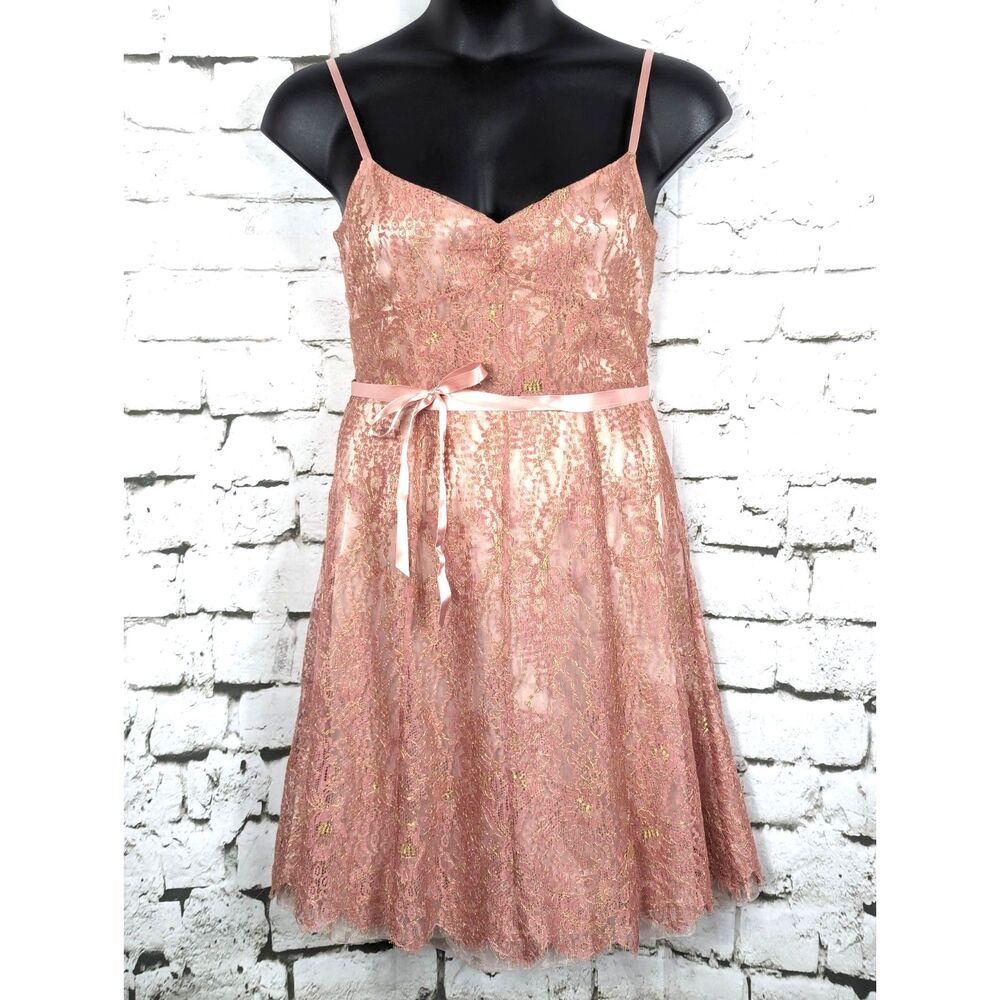 ANN TAYLOR Coquette Fairy Ballet Pink Gold Lace Slip Dress Ribbon Size 12P
